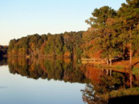 https://pixabay.com/pl/jezioro-wody-drzewo-krajobraz-65443/